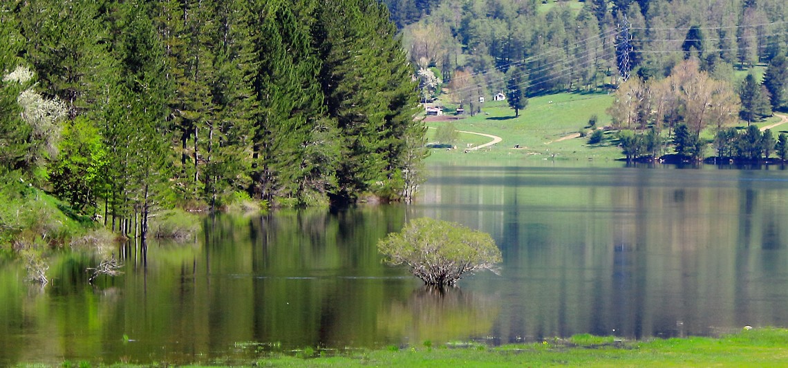 lago ampollino1140